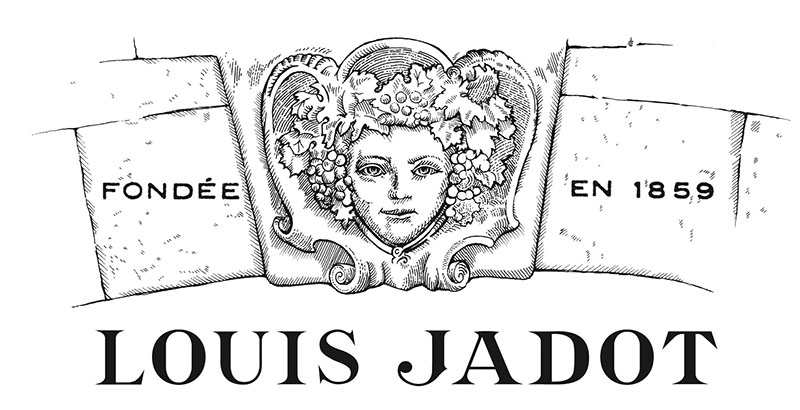 【酒莊介紹】Maison Louis Jadot 路易佳鐸酒莊