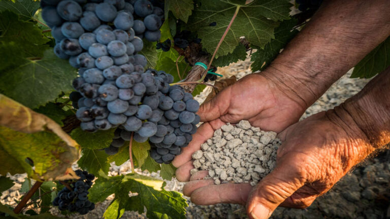 【葡萄酒知識】表面之下：土壤對葡萄酒風味的影響